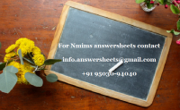 NMIMS Assignment Solutions & Project Help