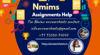 Nmims Dec 2022 Plagiarized Assignments - What do you mean by the statement Explain the things to keep in mind when tryin