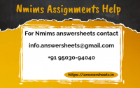 NMIMS Dec 2022 ready assignments - Explain your market entry strategy to launch the EV bicycles in South Africa